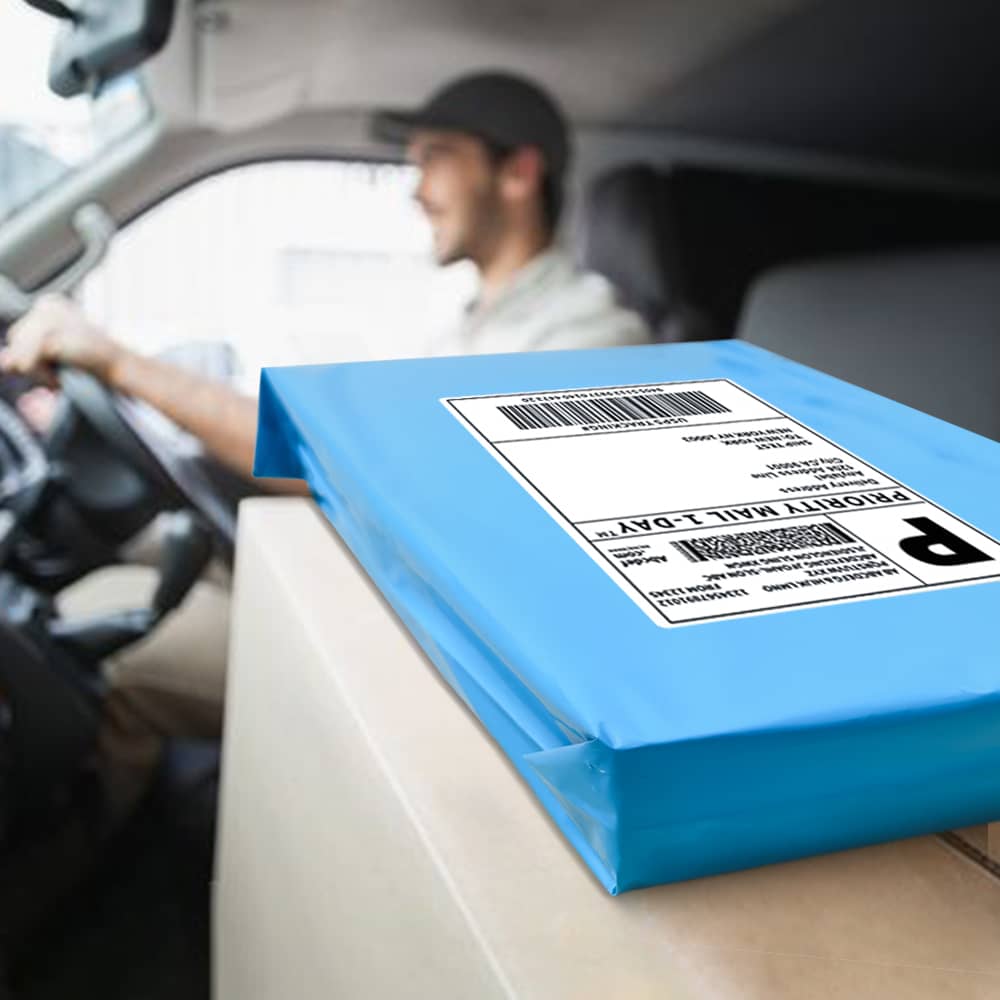 Poly Mailers Shipping Envelopes (Blue, 6x9 Inch)